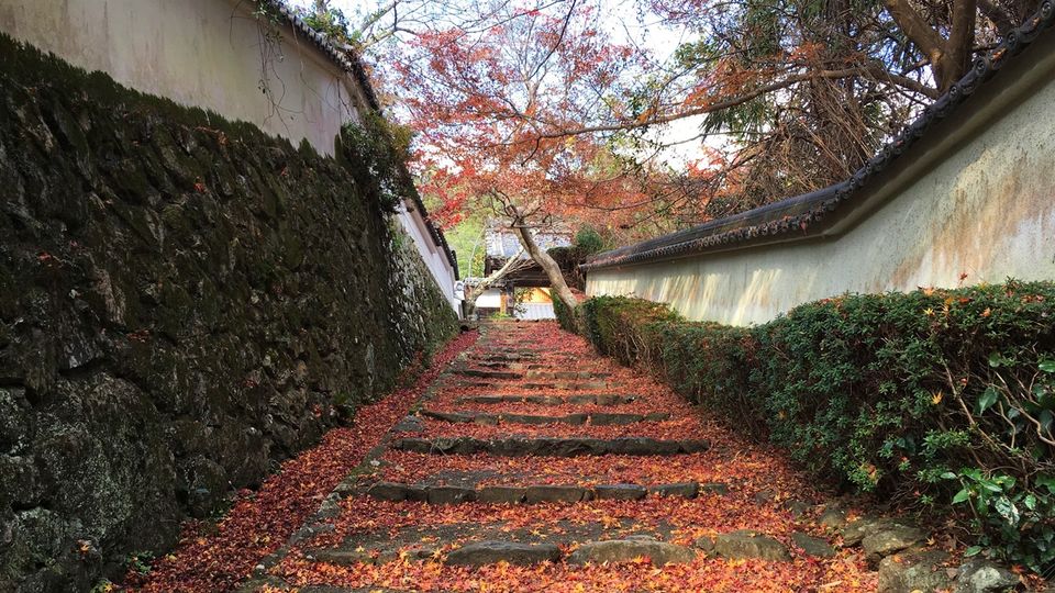 shojiji-16_s
