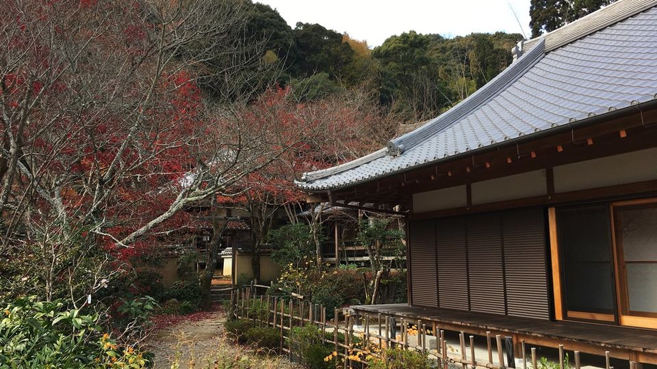 shojiji-20_s