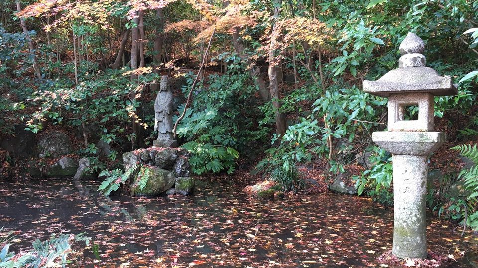 shojiji-30_s