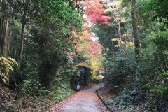shojiji-14_s