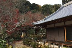 shojiji-20_s