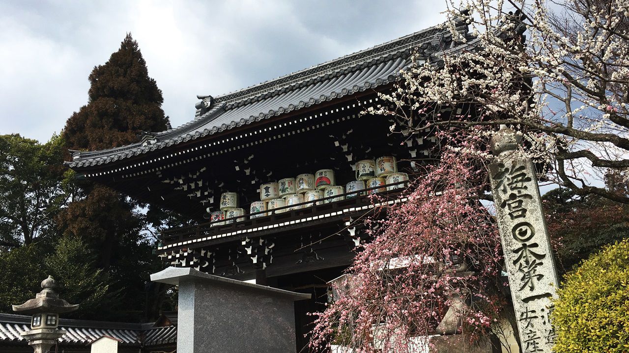 umenomiyataisha-plum-01