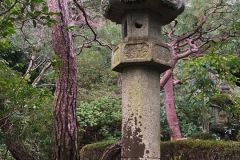 yuzenen-21_s