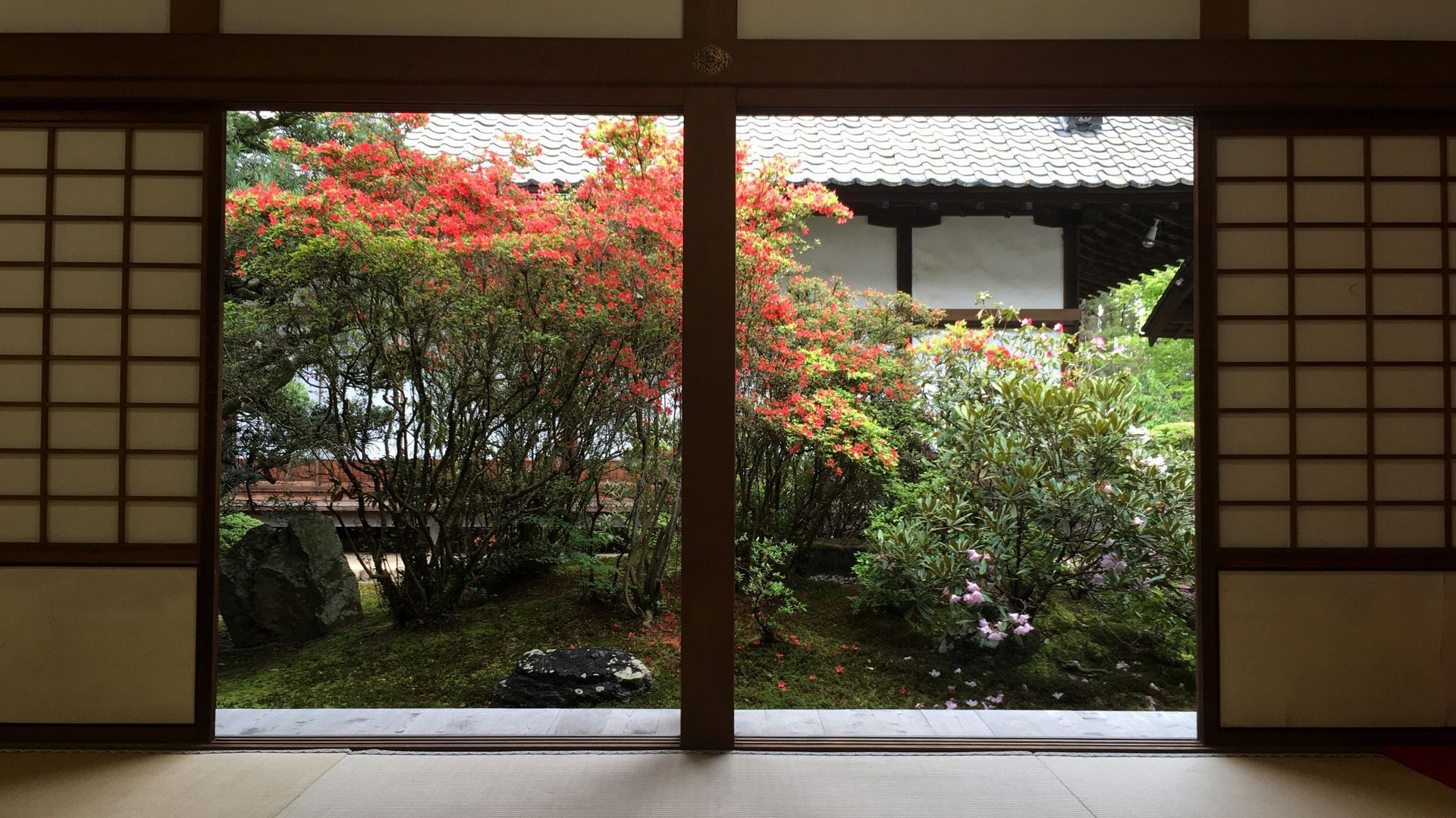 zuishinin-flower-08