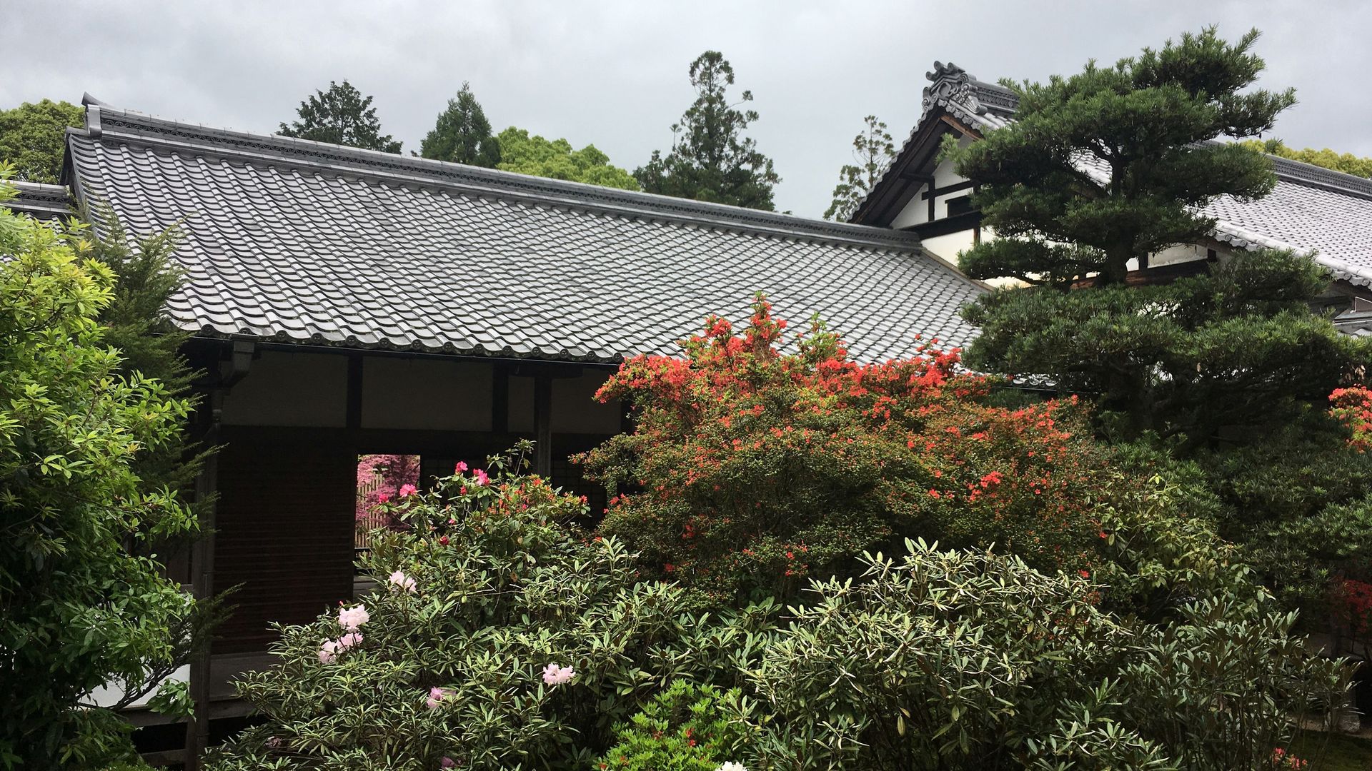 zuishinin-flower-09