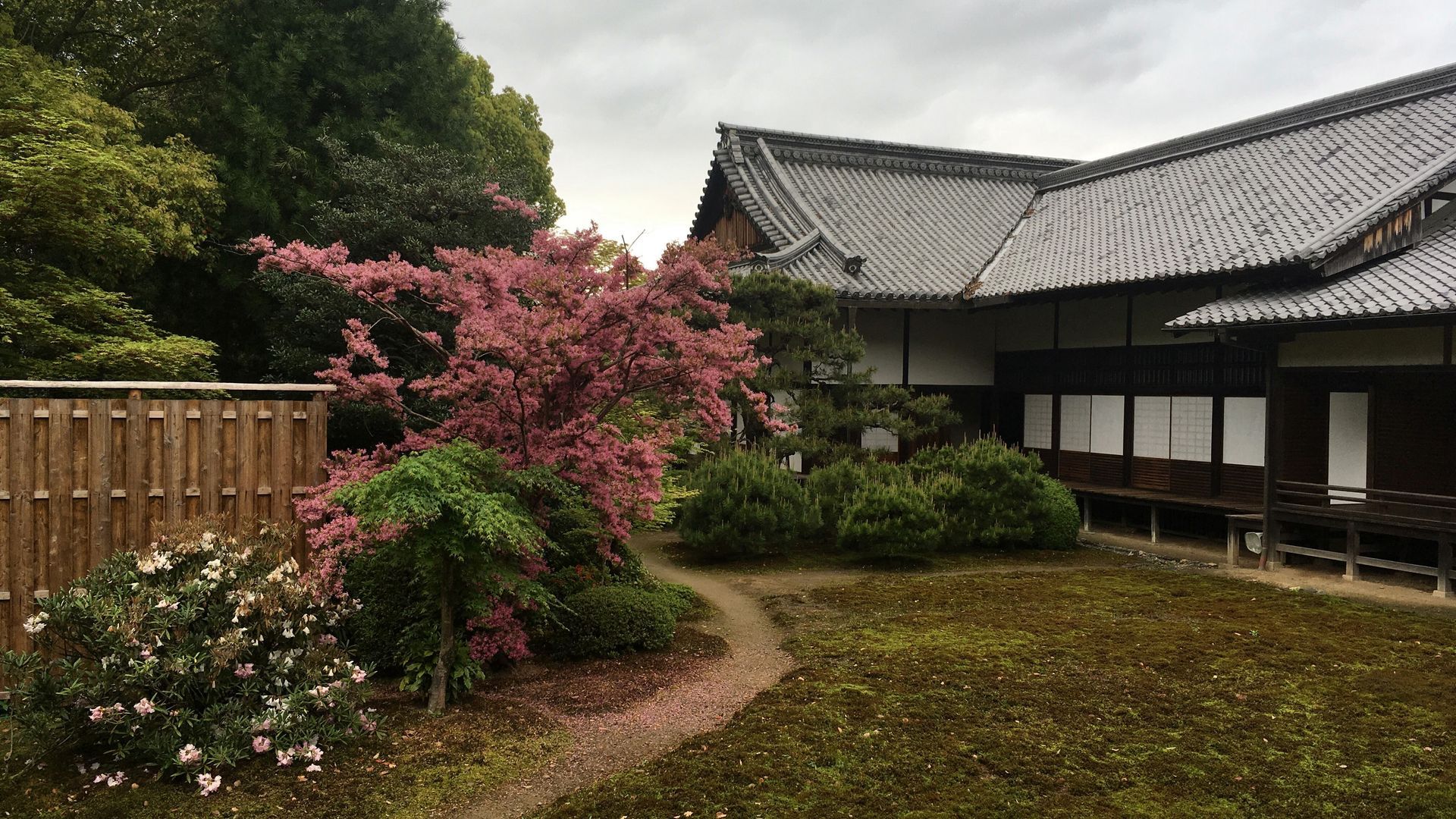 zuishinin-flower-10