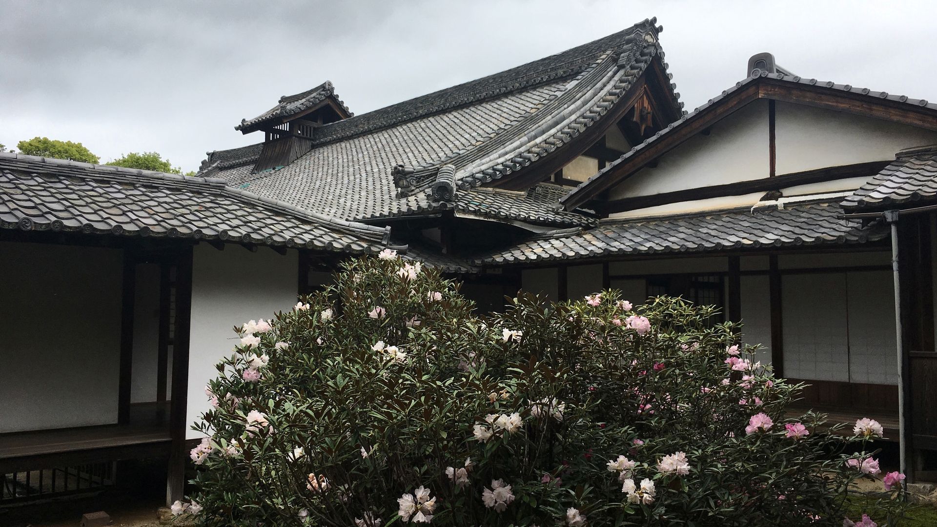 zuishinin-flower-11