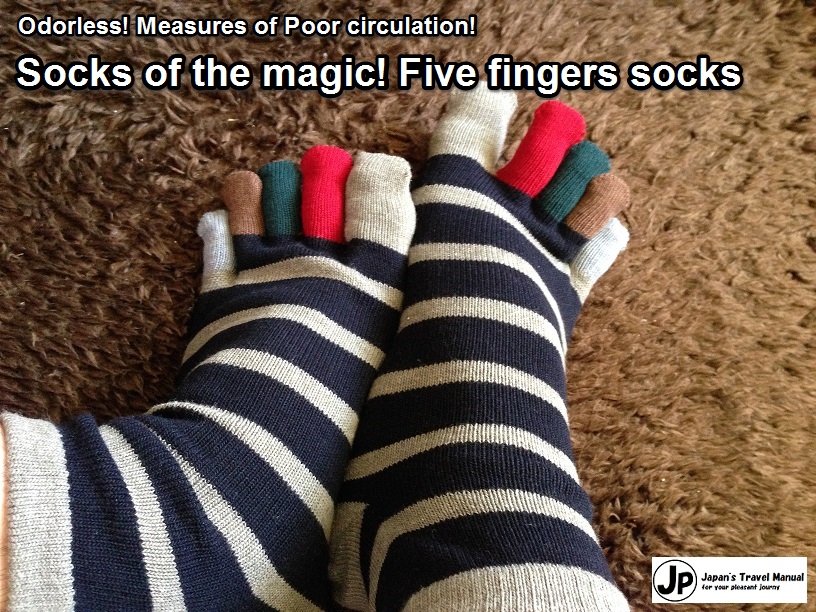 5_finger_socks_01_en