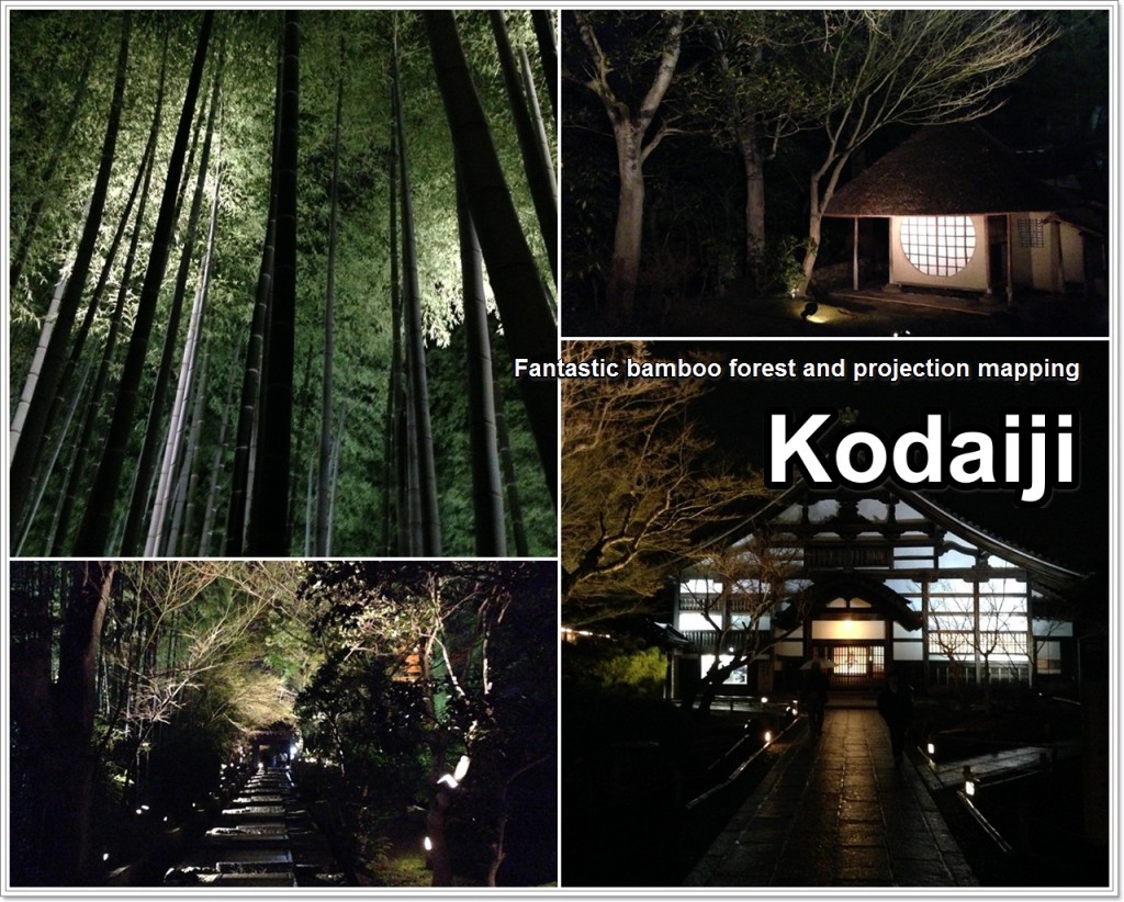 kyoto-hanatouru-04_en