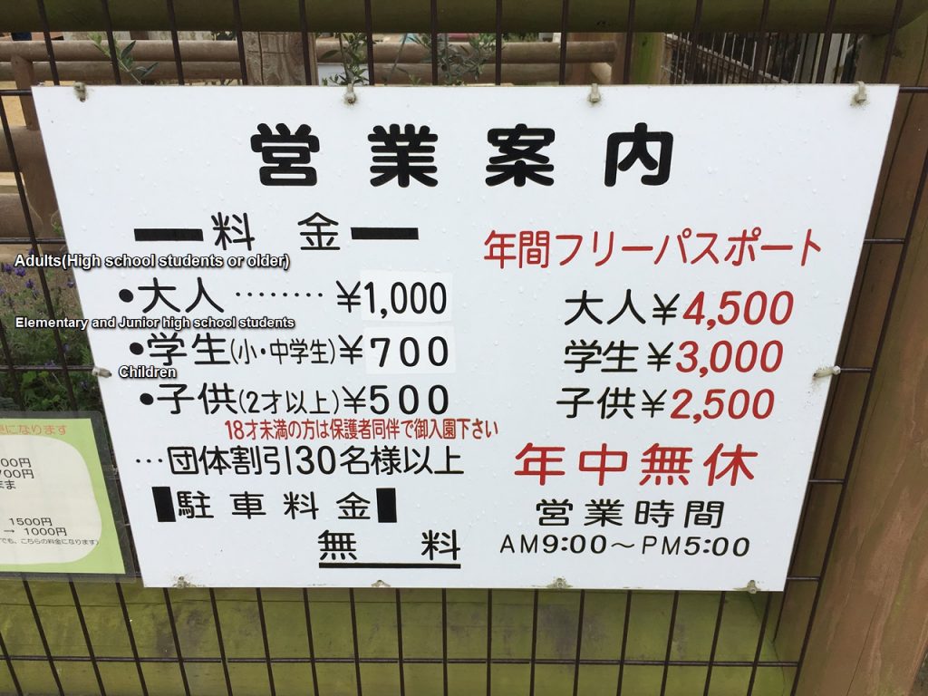 shibukawazoo-price