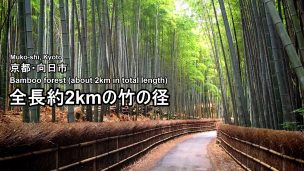 bamboo-road-01-2-txt