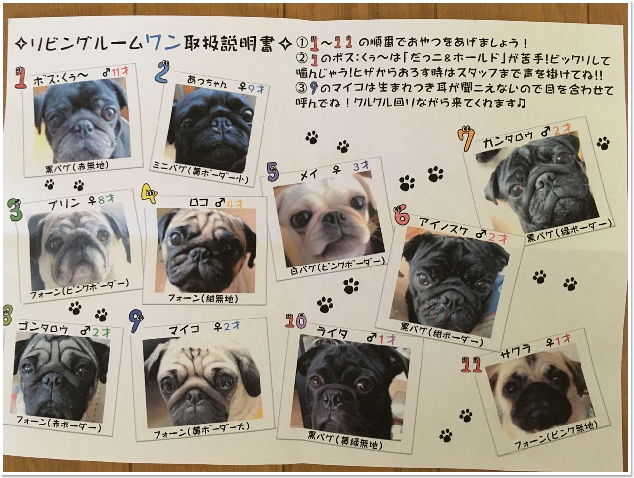 Pug Cafe Living Room This Cafe Is Full Of Pug Pug Japan S Travel Manual