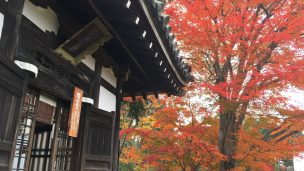 Highlights and how to get to Yoshimine-dera Temple. | Japan's Travel Manual