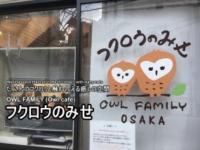 owlfamily-01