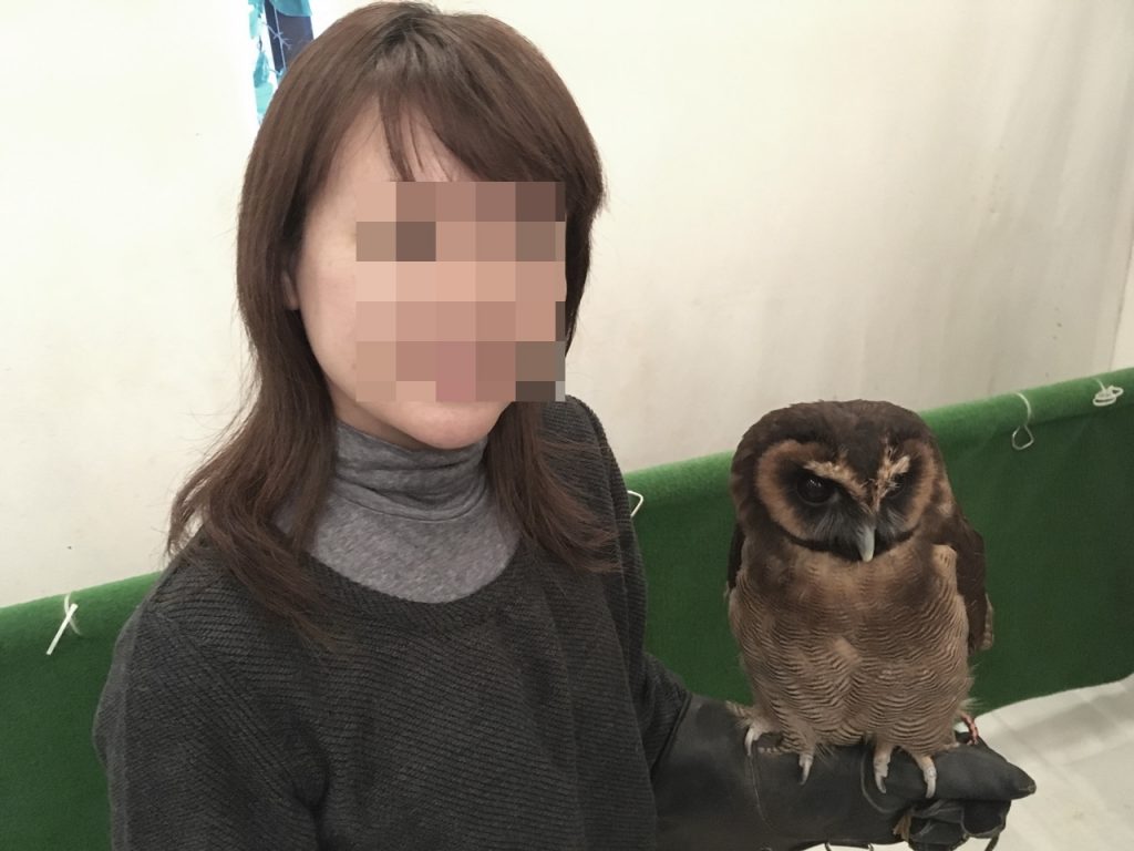 owlfamily-16
