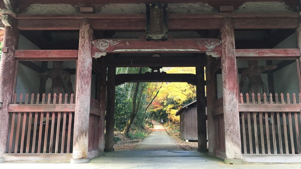 Nio-mon gate of Shoji-ji