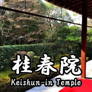 向日町（京都）「竹の径」：観光客がいない穴場の竹林に行ってみた！