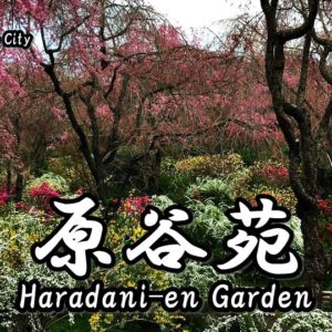 Directions and highlights of Haradani-en Garden.