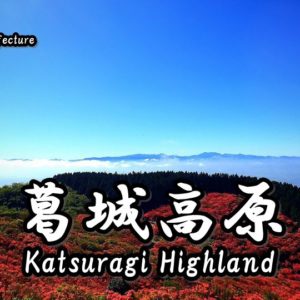 2020年｜日本全国の桜の開花予想と満開予想をまとめてみた！