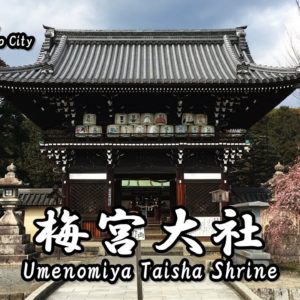 Directions and highlights of Iwashimizu Hachiman-gu Shrine.