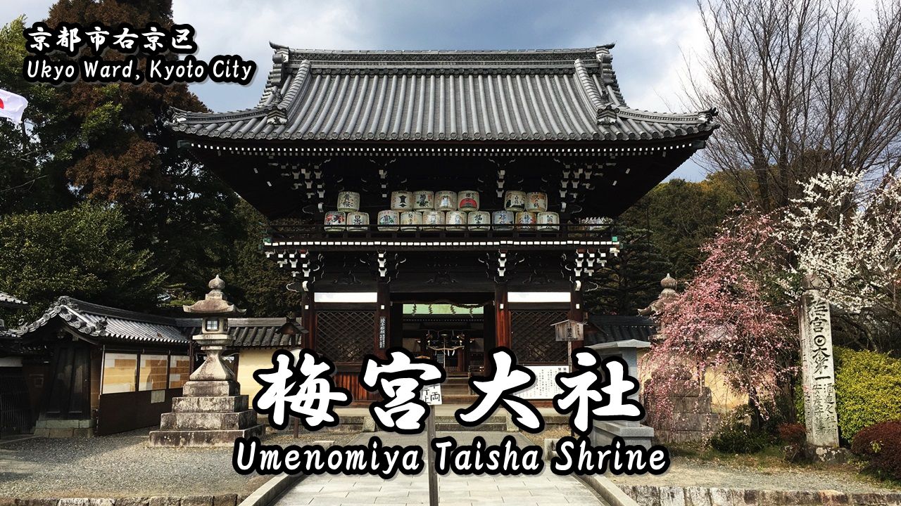 猫の神社 梅宮大社 うめのみやたいしゃ の見どころと行き方 京都の神社 Japan S Travel Manual