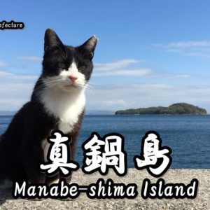 Directions and highlights of Manabe-shima Island.