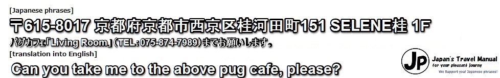 pug-cafe-new-21