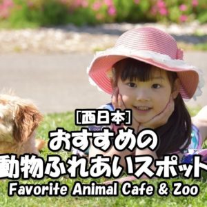 西日本／関西にあるおすすめの動物カフェやふれあいスポットをまとめてみた！