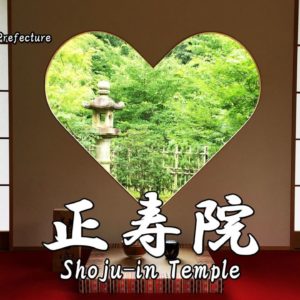 Information of Obon festival in Adashino nenbutsu-ji temple.