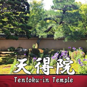 Directions and highlights of Gio-ji Temple.