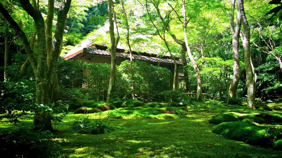祇王寺の苔庭(Garden of Gio-ji Temple)