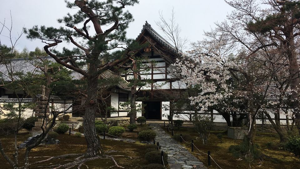 鹿王院の前庭(Front garden of the Rokuo-in Temple)