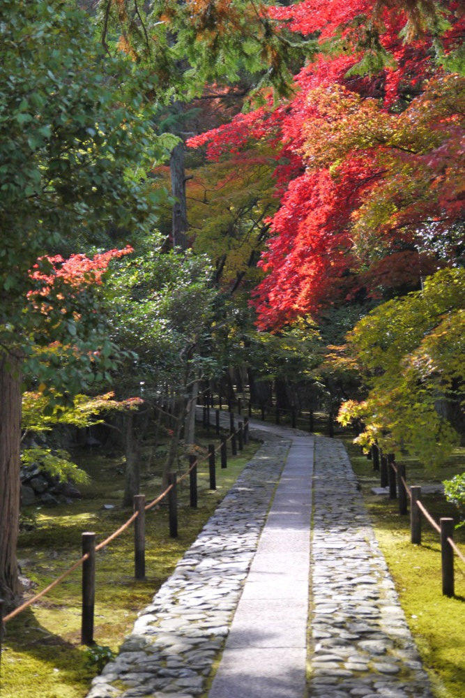 鹿王院の紅葉(Autumn leaves of the Rokuo-in Temple)