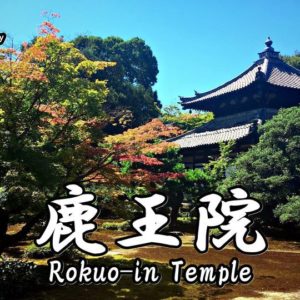 Directions and highlights of Gio-ji Temple.