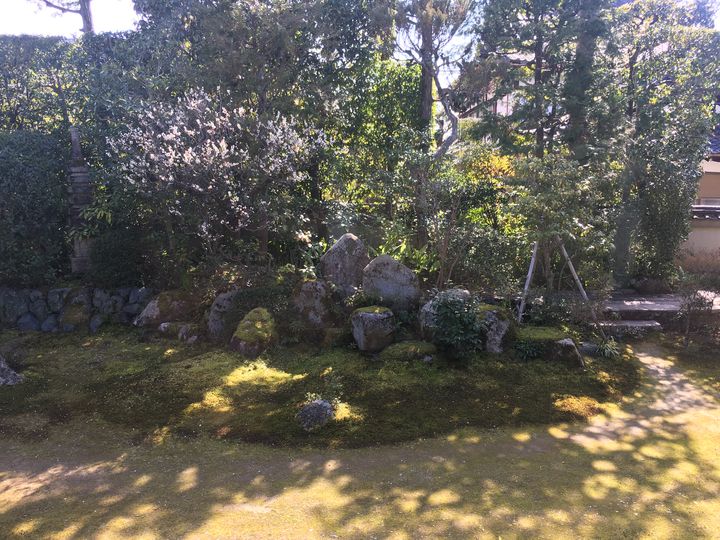 金臺寺/金台寺の庭園(Kontai-ji Temple)