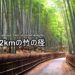 bamboo-road-01-2-txt